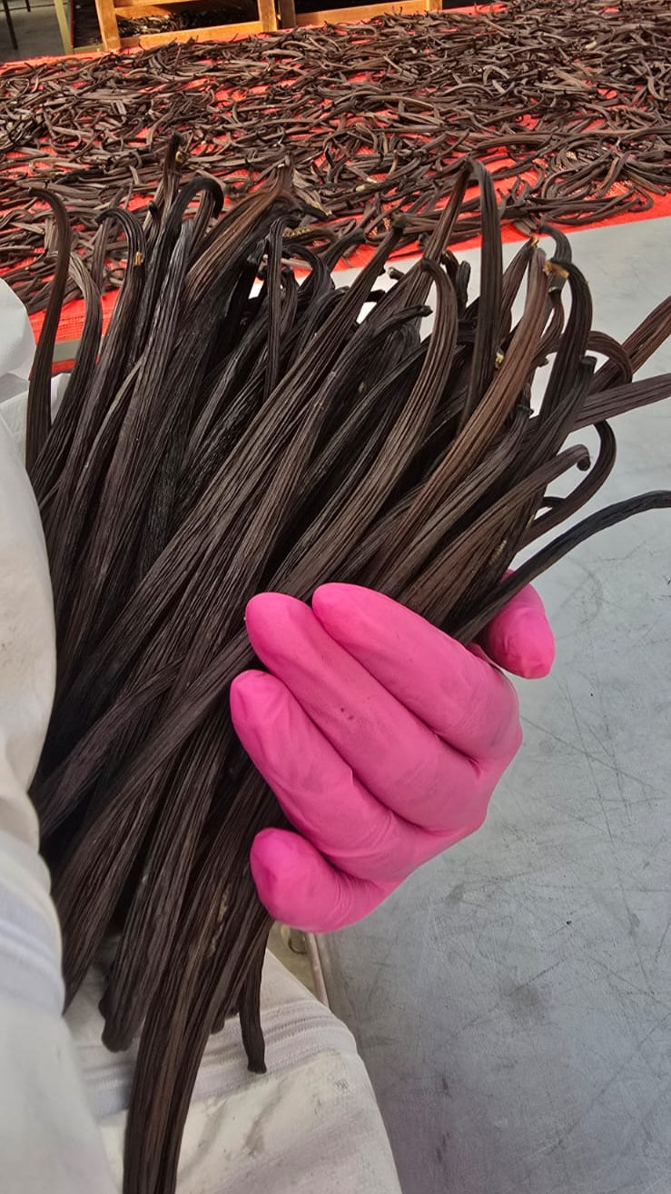 100g de Favas de Baunilha Inteiras